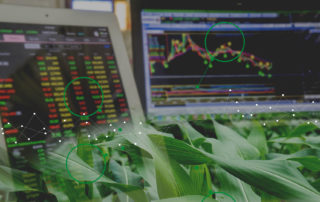 grain trading