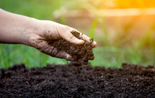 Soil Health by Rand Agri