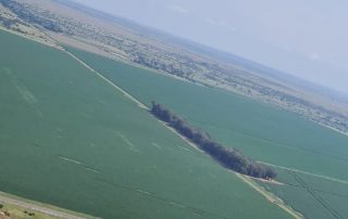 lugfoto graanaanplanting